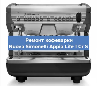 Чистка кофемашины Nuova Simonelli Appia Life 1 Gr S от накипи в Новосибирске